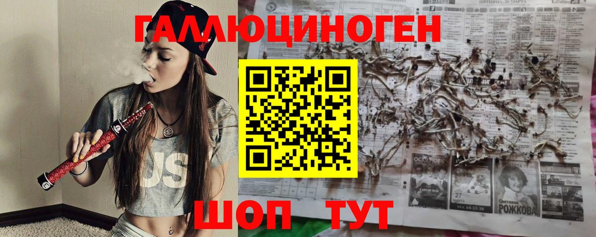 Галлюциногенные грибы MAGIC MUSHROOMS  Псилоцибиновые грибы GOLDEN TEACHER  Вход с VPN  Сосновоборск 